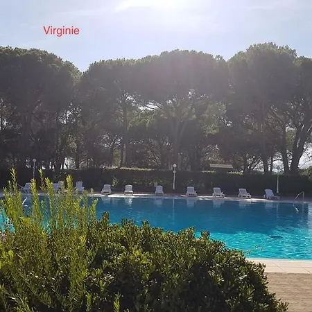 Superbe Au Soleil * Saint-Raphael (Var)